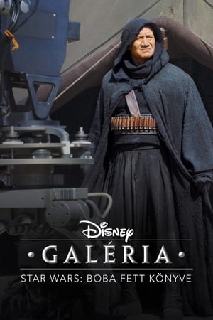 Disney Galéria / Star Wars: Boba Fett könyve poszter