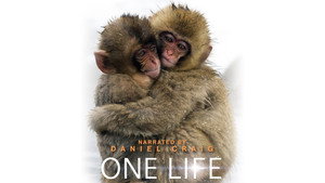 One Life háttérkép