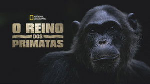 Kingdom of the Apes: Battle Lines háttérkép