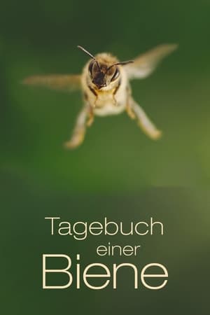 Tagebuch einer Biene poszter