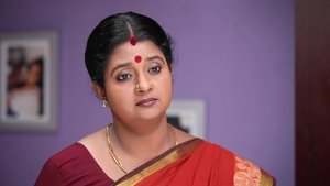 சின்னதம்பி Season 1 Ep.247 247. epizód
