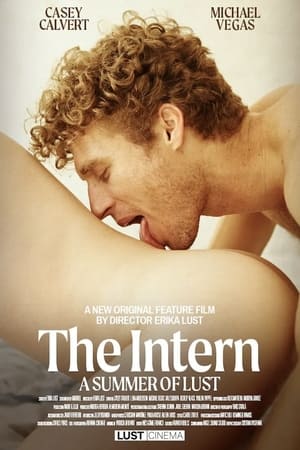 The Intern: A Summer of Lust poszter