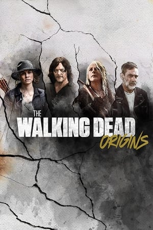 The Walking Dead: Origins poszter