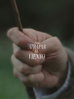 Para atrapar el viento poszter