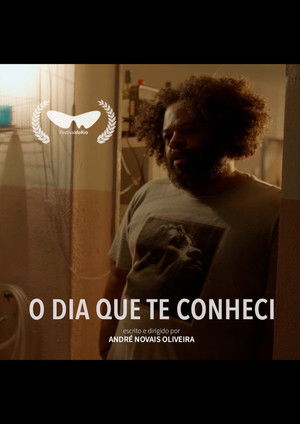 O Dia Que Te Conheci poszter