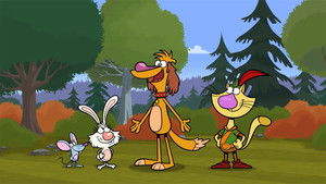 Nature Cat kép