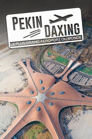 Pékin Daxing : Le Plus Grand Aéroport du monde