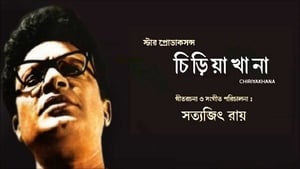 চিড়িয়াখানা háttérkép