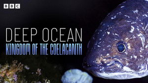 Deep Ocean: Kingdom of the Coelacanth háttérkép