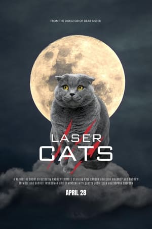 Laser Cats poszter