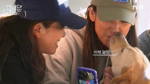 캐나다 체크인 1. évad Ep.2 2. epizód
