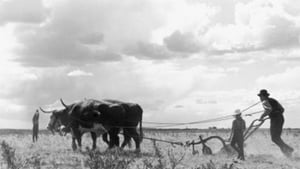 Drylanders háttérkép