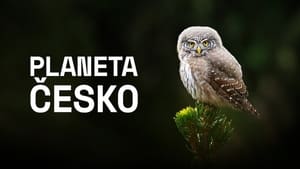 Planeta Česko háttérkép