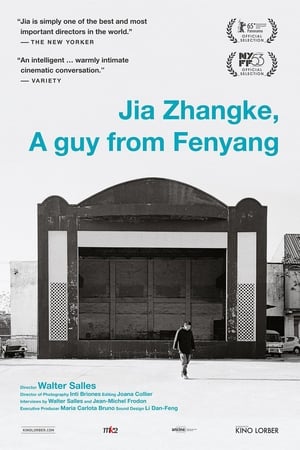 Jia Zhangke, Um Homem de Fenyang poszter