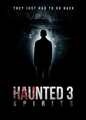 Haunted 3: Spirits poszter