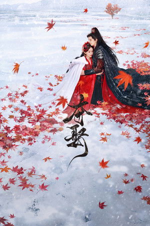 夺娶 poszter
