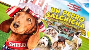 Wiener Dog Internationals háttérkép