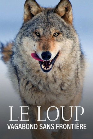 Wolf poszter