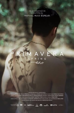 Primavera poszter