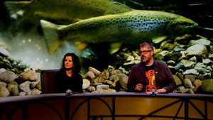 QI 14. évad Ep.8 8. epizód