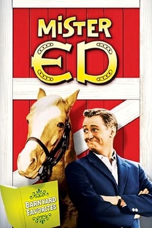 Mister Ed poszter