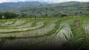 Anthony Bourdain: Parts Unknown Season 1 Ep.7 7. epizód