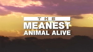 Time Life Animal Oddities: The Meanest Animal Alive háttérkép