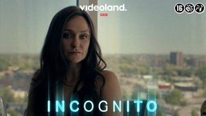 Incognito kép