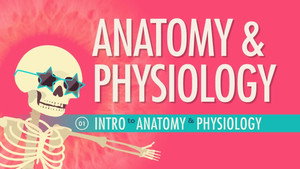 Crash Course Anatomy & Physiology 1. évad Ep.1 1. epizód