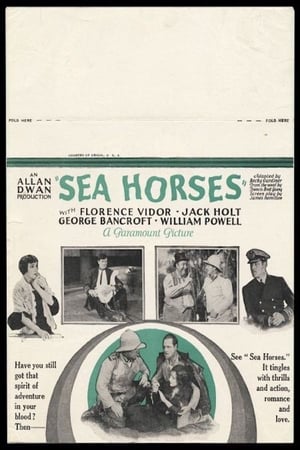 Sea Horses poszter