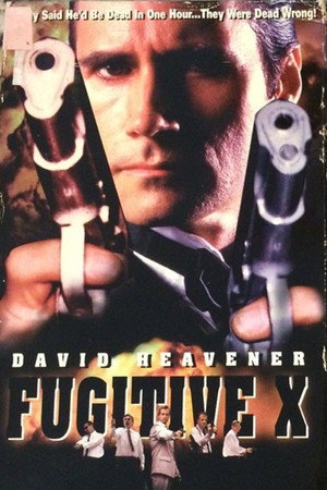 Fugitive X: Innocent Target poszter