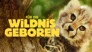Born to Be Wild kép