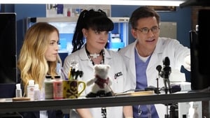 NCIS 15. évad Ep.21 Egy lépés előre