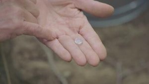 Oak Island átka 12. évad Ep.13 13. epizód