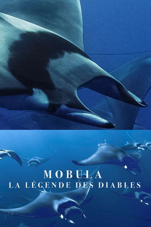 Mobula, la légende des diables poszter
