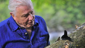 Attenborough világkörüli kalandjai 1. évad Ep.2 Otthonunk, a Föld