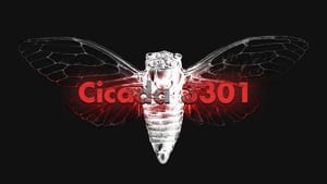 Cicada 3301: An Internet Mystery háttérkép