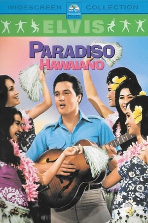 Hawaii paradicsom poszter