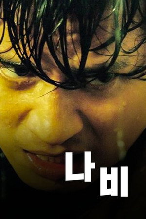 나비 poszter