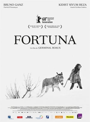 Fortuna poszter