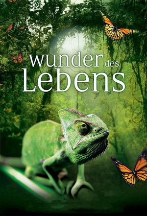 Wonders of Life poszter