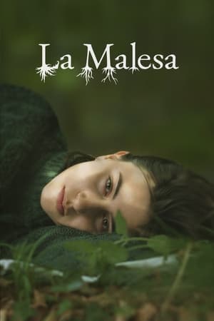 La Malesa poszter