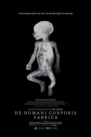 De humani corporis fabrica poszter