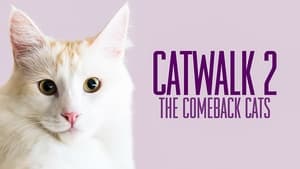 Catwalk 2: The Comeback Cats háttérkép