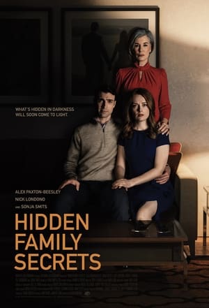 Hidden Family Secrets poszter