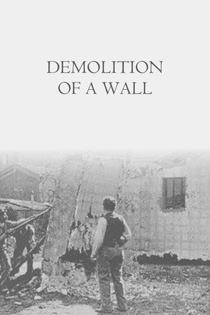 Démolition d'un mur poszter