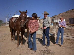 Quincy, M.E. Season 7 Ep.6 6. epizód