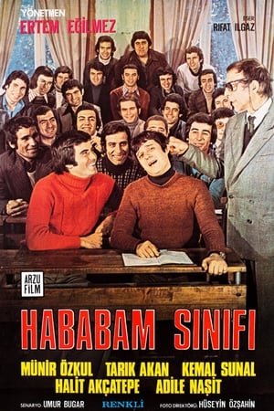 Hababam Sınıfı poszter