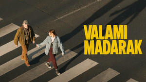 Valami madarak háttérkép