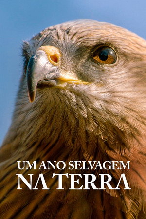 Vad év a Földön poszter